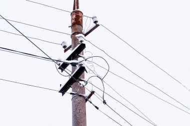 Su damlalarıyla ayrılır. Uzayı kopyala. Saflığı doğasında hisset. Yeşil sulu yapraklar. Bahar bahçesinde zambak ve yağmur damlaları. Bahar bahçesinde çiğ taneleri olan zambak filizleri..