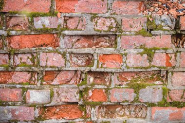 Yosun kaplı eski bir taş duvar. Yeşil desenli kırmızı tuğla bir duvarın yüzeyinin geniş bir planı..