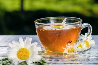 Bir fincan çay ve çay tabağı, ahşap, beyaz bir masanın üzerinde, açık havada, güneş ışınlarında ve papatya çiçeğinin beyaz çiçeklerinde.
