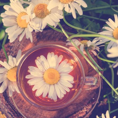 Yeşil çay. Çayı iyileştiriyorum. Çerçevelerden çay. Bir fincan kokulu papatya çayı, beyaz papatya çiçekleriyle, güneş ışınlarında, yakın planda, ahşap bir stantta..