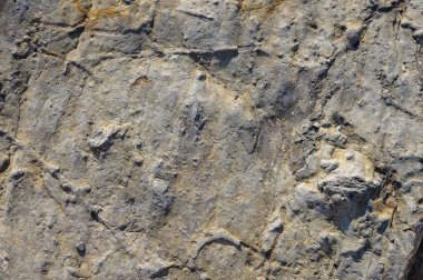 Tasarım için koyu gri ve siyah sayfanın dokusu veya arkaplanı