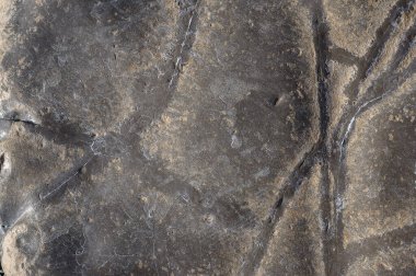 Koyu gri ve siyah yazı tahtasının dokusu veya tasarım için arkaplan, rüzgar esintisi