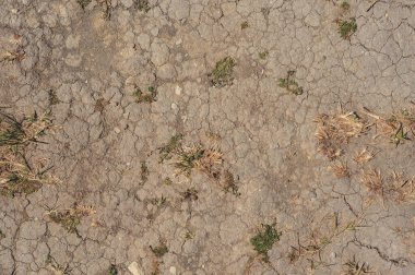 Toz arkaplanındaki soyut desen. Çöl manzarası küresel ısınma kavramı. Kuru toprak dokusu arka planı. Kuru arazi. Kuru toprak dokusu. Ekoloji manzarası.