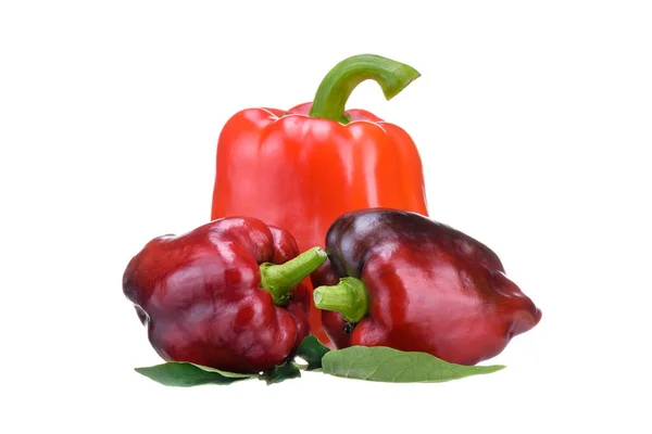 Bulharský Pepř Červené Sladké Papriky Bílém Pozadí Čerstvá Zelenina Zdravé — Stock fotografie