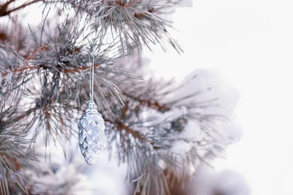 雪に覆われたクリスマスツリーの枝と森を背景に輝くコーン — ストック写真