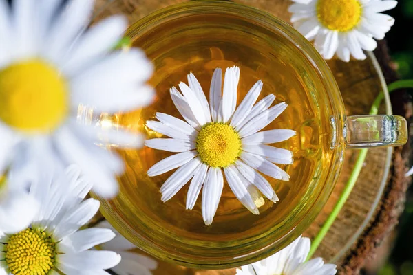 Una Taza Manzanilla Fragante Flores Manzanilla Blanca Los Rayos Luz — Foto de Stock