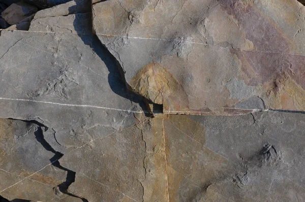 Textura Una Piedra Granito Gris Oscuro Fondo Para Diseño —  Fotos de Stock