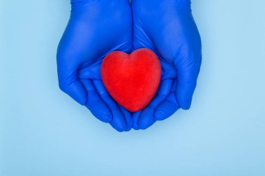 Heart In Hands Stock Fotografı. Sağlık sigortası veya aşk konsepti. Kardiyoloji ve kalp hastalığı konsepti. Mavi eldivenli doktorun elleri, beyaz arka planda kırmızı kalbi kapalı tutuyor..