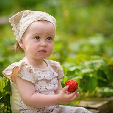 Kız olgun, sulu bir çilek yer, yeşil bir bahçenin yanında oturur, güneş ışığıyla aydınlanan çileklerle..