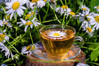 Papatyalı bir fincan yeşil çay. Papatya çayı. Tahta bir yüzeyde duran çay fincanı, beyaz papatya çiçekleri, sıcak güneş ışınları, yakın çekim.