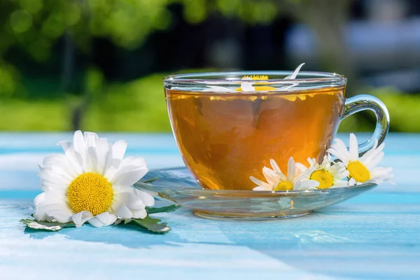 Herbata Rumiankowa Zielona Herbata Herbata Lecznicza Herbata Ramki Filiżanka Herbaty — Zdjęcie stockowe