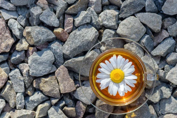 Chamomile Tea Cup Tea White Chamomile Close Lit Warm Sunlight — Stock Photo, Image