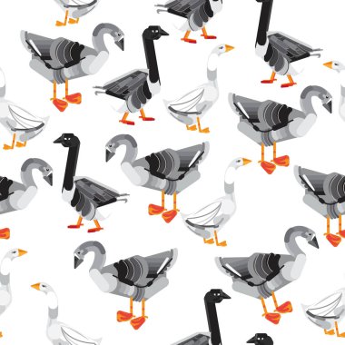 Kuşlar sorunsuz vektör arka plan. Kuş bahçesinde duvar kağıdı. Rustik kuş güzel desen. Çocuk arka plan kuşlar ile