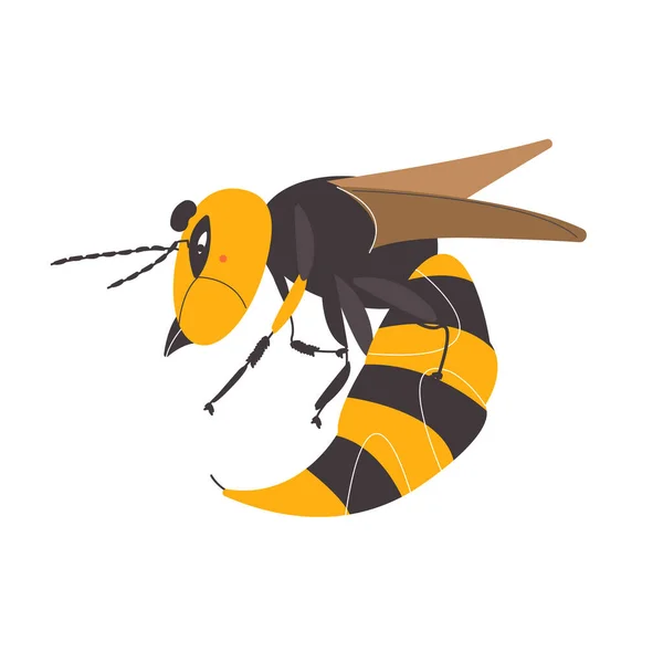 Hornet White Background Wasp Illustration Bee Vector — Stock Vector