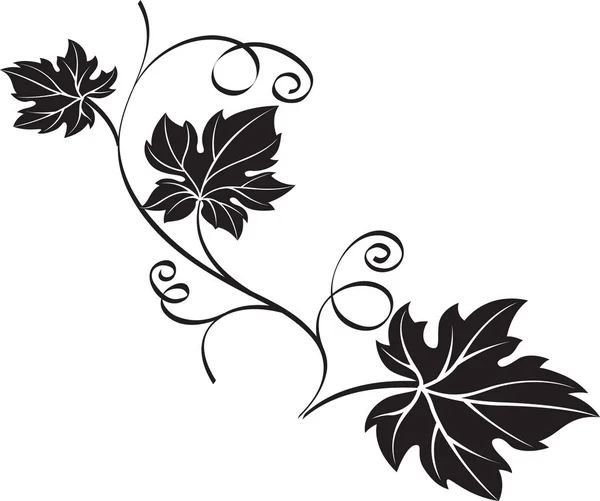 Branche Raisin Noir Avec Feuilles Isolées Sur Fond Blanc Illustration — Image vectorielle