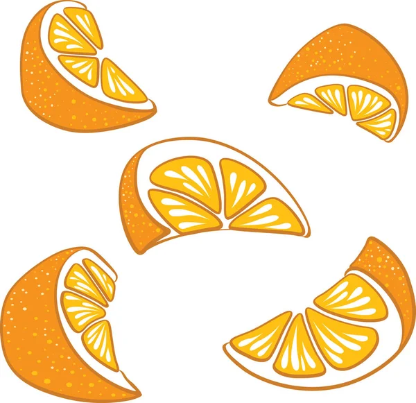Heldere Vector Set Segmenten Segmenten Van Sappige Sinaasappelen Verse Cartoon — Stockvector