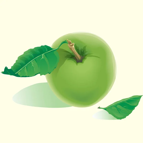 Одне Стигле Зелене Яблуко Зеленим Листям Ізольовано Фоні Векторні Ілюстрації — стоковий вектор