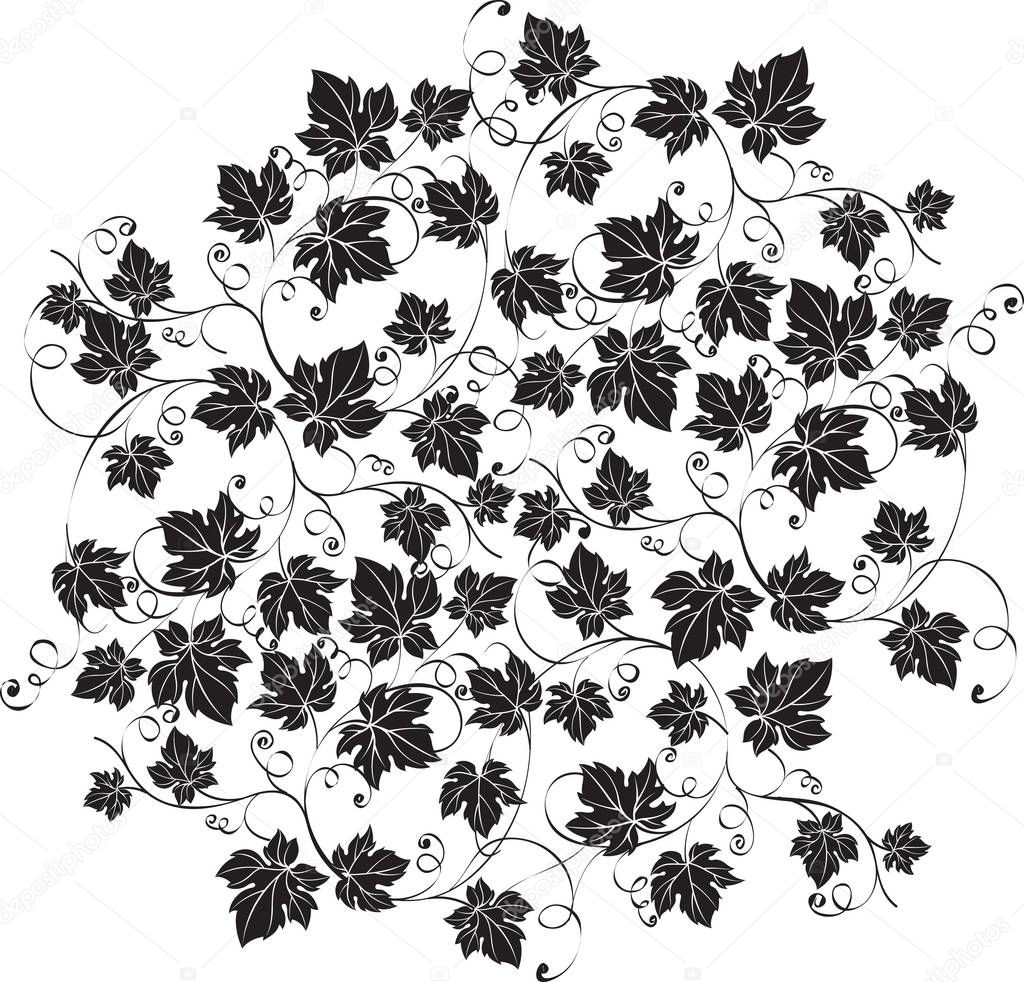 Elegant richly decorated ornate black grape leaves on white background. Decorative ornament vector illustration
