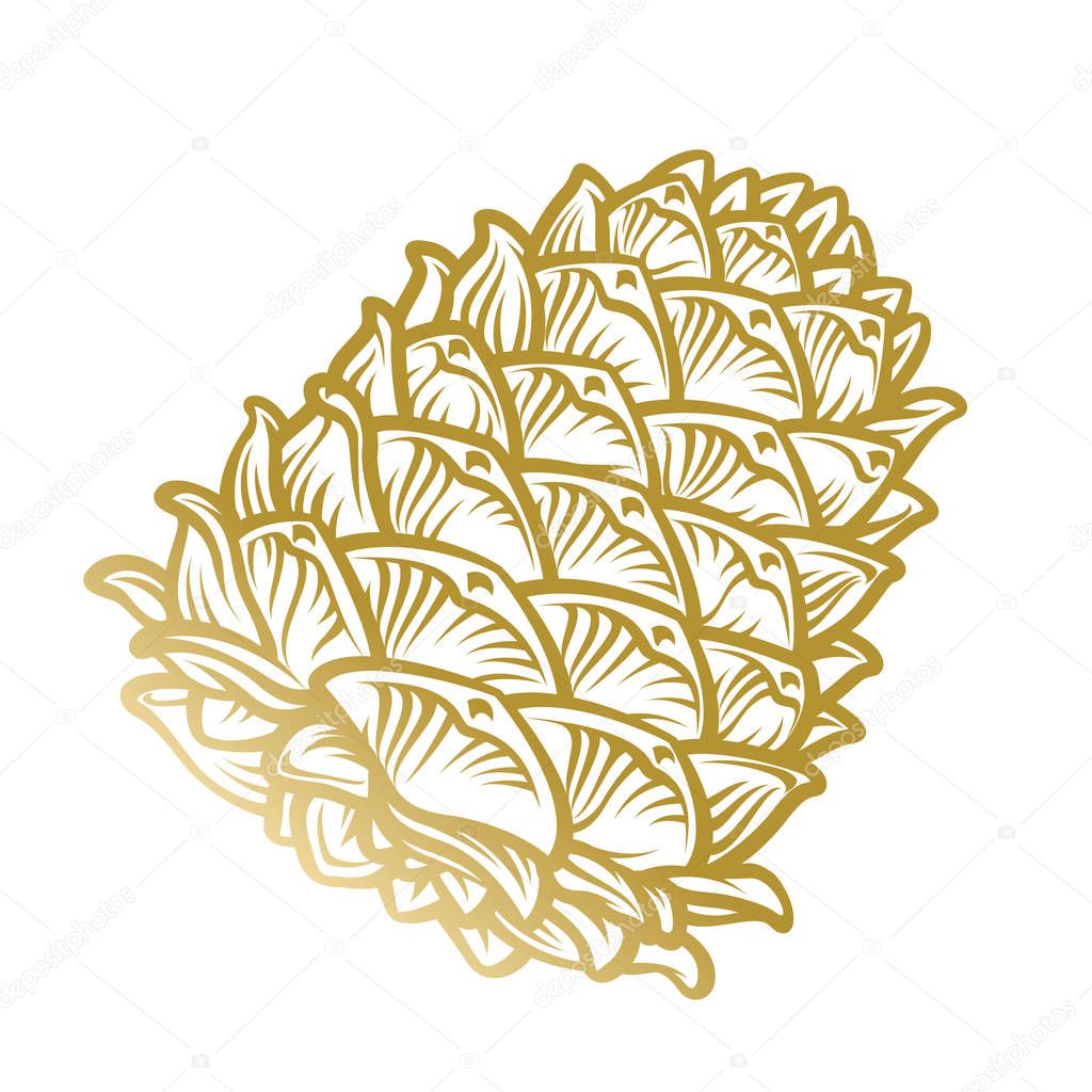 Gold pine cone isolated on white background hand drawn illustration in engraving style