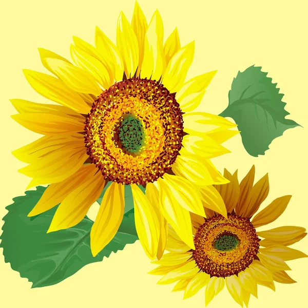 Handgezeichnete Sonnenblumen Mit Blättern Isoliert Auf Beigem Hintergrund Vektor Illustration — Stockvektor