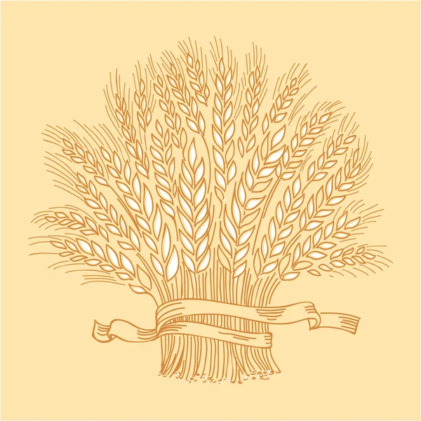 Handgezeichnete Goldene Reife Weizengarbe Vektor Dekoratives Element Markensymbol Oder Logo — Stockvektor