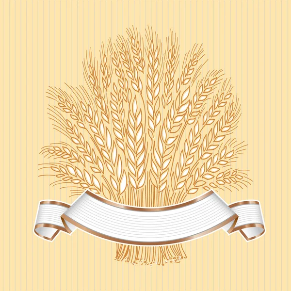 Hand drawn wheat sheaf on beige background with white elegant ba — Stock Vector