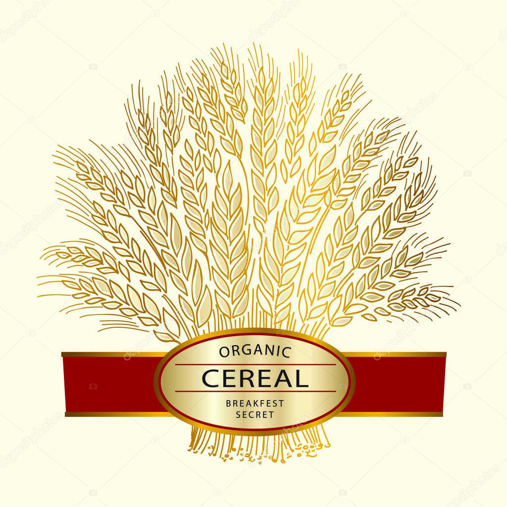 Hand drawn wheat sheaf on beige background with cereal banner.