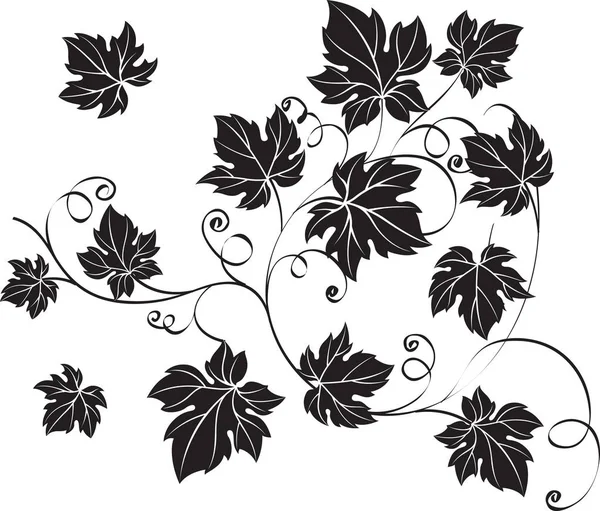ヴィンテージスタイルの黒ブドウの葉とブドウ. — ストックベクタ