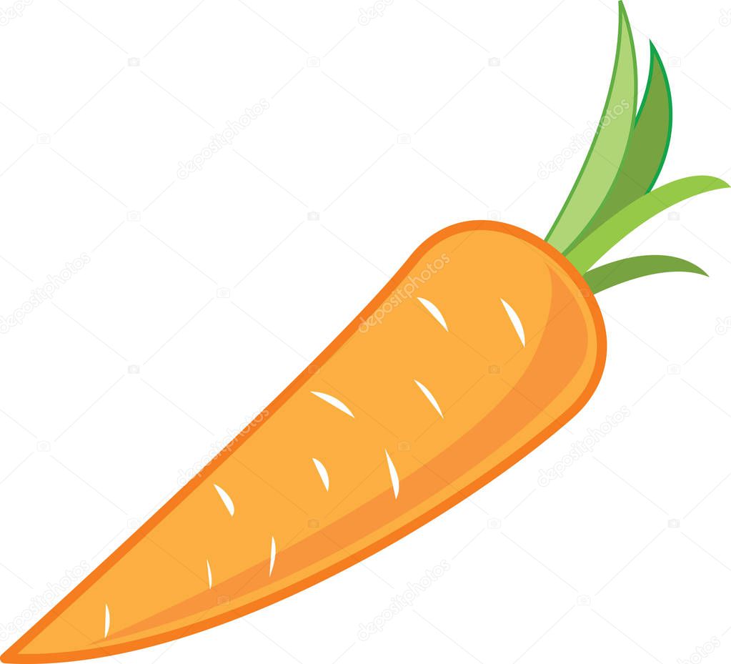 Vecror cartoon style ripe carrot.