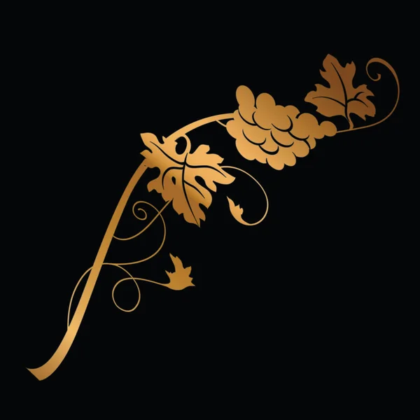 Goldener Traubenzweig mit Trauben und Blättern auf schwarz. wi — Stockvektor