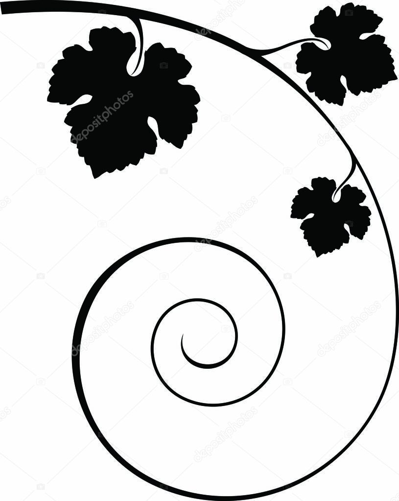 Vintage abstract winery vector design element - grape branch with leaves. Can be used in menu (restaurant, cafe, bar etc)