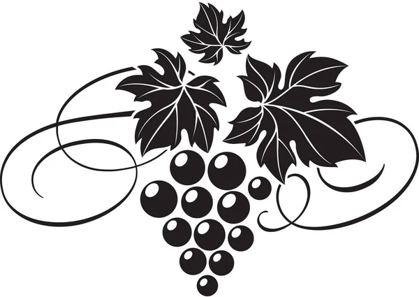 Traubenstrauß mit Blättern als Design-Vorlage für das Weinlogo. — Stockvektor