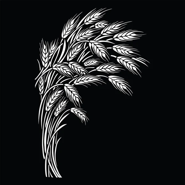 Ripe wheat ears sheaf on black background. Vector illustration, — Stock Vector