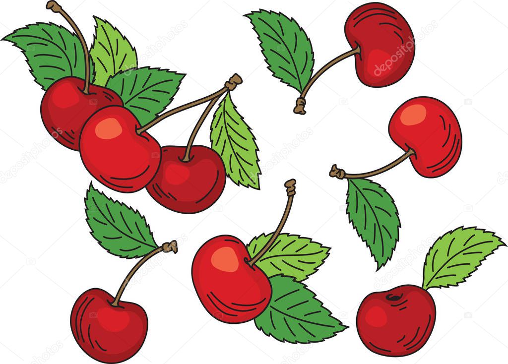 Hand drawn cartoon red ripe cherries with green leaves.