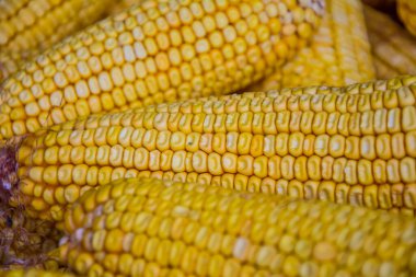 Pazarda kurutulmuş mısır.