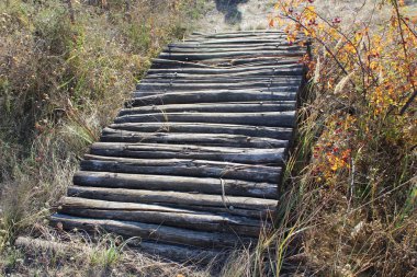 Parktaki ahşap bank.