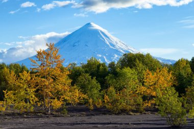 Kamçatka Yarımadası. - Rusya. Klyuchevskaya sopka volkanı. (4800 m) Avrasya 'nın en yüksek aktif volkanıdır..