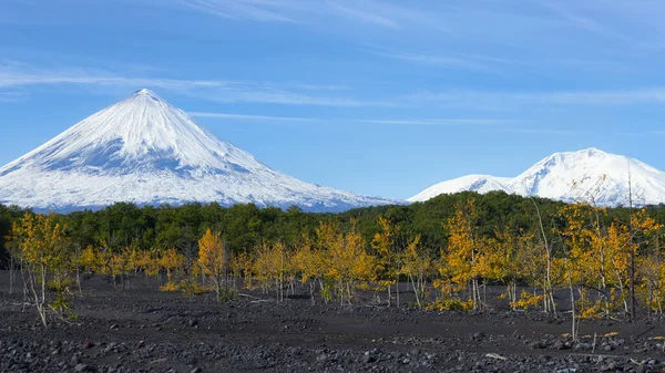 Russie Extrême Orient Péninsule Kamchatka Volcan Klyuchevskaya Hill 4800 Est — Photo