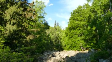 Taş nehir doğal olay Vitosha Doğal Parkı Sofya, Bulgaristan. Altın köprü alanı.