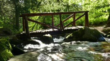 Vitosha Tabiat Parkı yakınındaki Sofya, Bulgaristan. Altın köprü alanı. Su akışı ve ahşap köprü manzara.