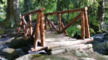 Vitosha Tabiat Parkı yakınındaki Sofya, Bulgaristan. Altın köprü alanı. Su akışı ve ahşap köprü manzara.