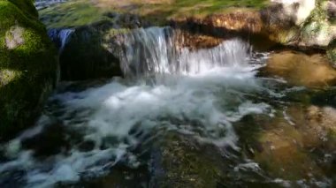 Vitosha Tabiat Parkı yakınındaki Sofya, Bulgaristan. Altın köprü alanı. Su akışı manzara.