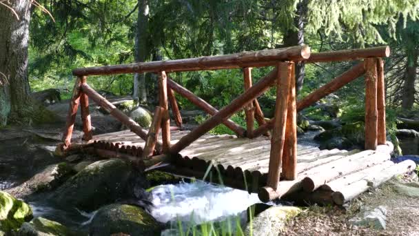 ヴィトシャ自然公園近くソフィア ブルガリア 黄金橋エリア 水の流れと木の橋の風景 — ストック動画