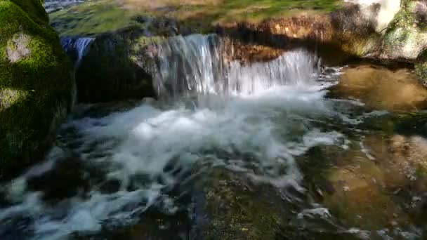 Φυσικό Πάρκο Vitosha Κοντά Σόφια Βουλγαρία Περιοχή Χρυσή Γέφυρες Τοπίο — Αρχείο Βίντεο