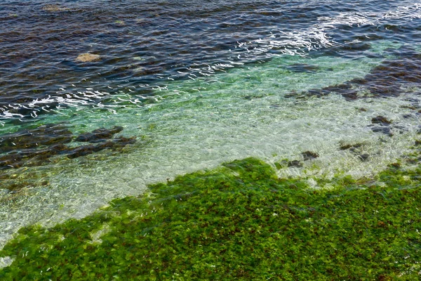 Klares Meerwasser Hintergrund. transparente Meeresoberfläche. schöne Meereslandschaft der Schwarzmeerküste in der Nähe von Zarevo, Bulgarien. Arapya-Bucht — Stockfoto