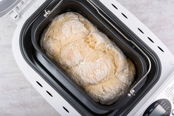 빵 메이커에서 구운 홈메이드 흰 밀가루 빵 — 스톡 사진