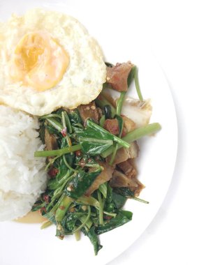 Fry stir Kai arazi ve gevrek domuz eti, beyaz arka plan üzerinde beyaz tabak kızarmış pilav pilav ile karıştırın. Tay tarzında gıda.