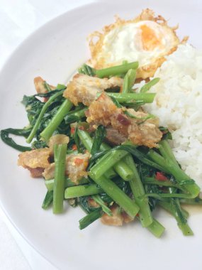 Fry stir Kai arazi ve gevrek domuz eti, beyaz arka plan üzerinde beyaz tabak kızarmış pilav pilav ile karıştırın. Tay tarzında gıda.