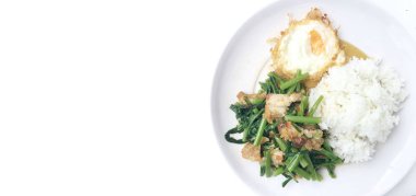 Fry stir Kai arazi ve gevrek domuz eti, beyaz arka plan üzerinde beyaz tabak kızarmış pilav pilav ile karıştırın. Tay tarzında gıda.