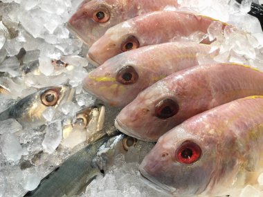 Pazarda buzlu taze balık.